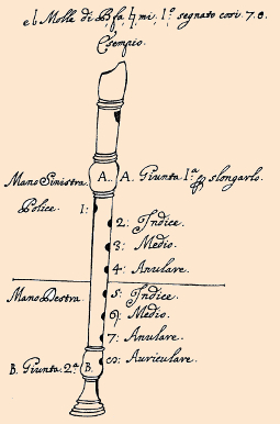 the position of the hands on the recorder according to Bismantova
