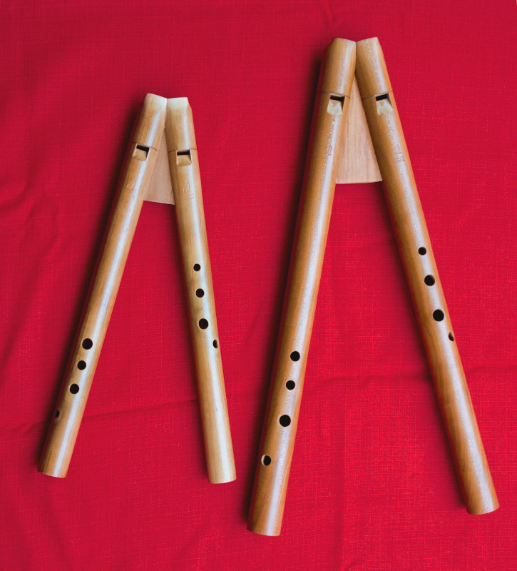 soprano and alto double recorders